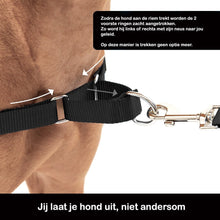 Afbeelding in Gallery-weergave laden, Easywalk hondentuig - anti trek tuig - Dusty black - GRATIS RIEM T.W.V €19,95
