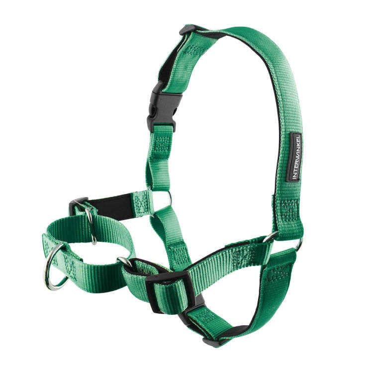 Easywalk hondentuig - anti trek tuig Fun green - GRATIS RIEM T.W.V €19,95