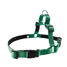 Afbeelding in Gallery-weergave laden, Easywalk hondentuig - anti trek tuig Fun green - GRATIS RIEM T.W.V €19,95
